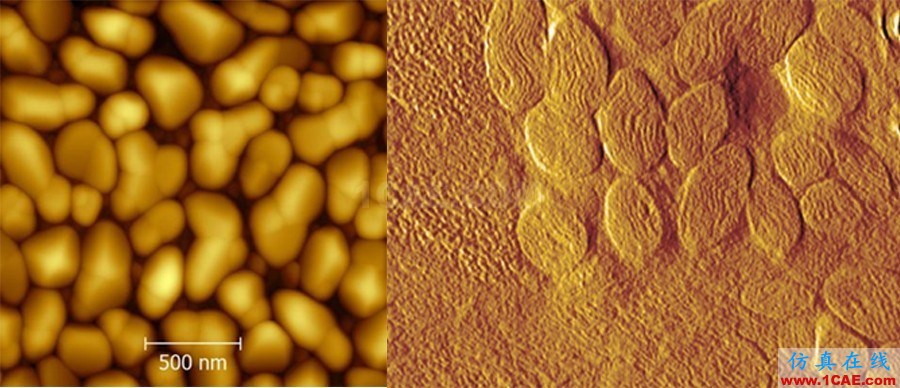 機(jī)械設(shè)計的高級境界：四大顯微設(shè)備SEM、TEM、AFM、STM工作原理，看圖說話機(jī)械設(shè)計圖例圖片21