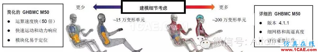 維克弗里斯特大學基于HyperWorks開發(fā)車輛碰撞仿真的人體模型hypermesh分析案例圖片3