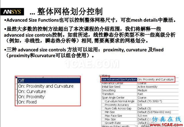 ansys技術(shù)專題之 網(wǎng)格劃分ansys培訓(xùn)課程圖片8