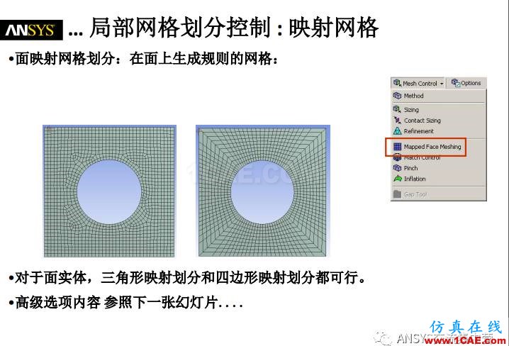 ansys技術(shù)專題之 網(wǎng)格劃分ansys培訓(xùn)的效果圖片22