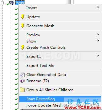 ANSYS Workbench Meshing網(wǎng)格錄制Start Recording的方法說明ansys圖片5