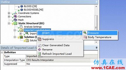 WORKBENCH對血管的流固耦合分析fluent培訓(xùn)的效果圖片21