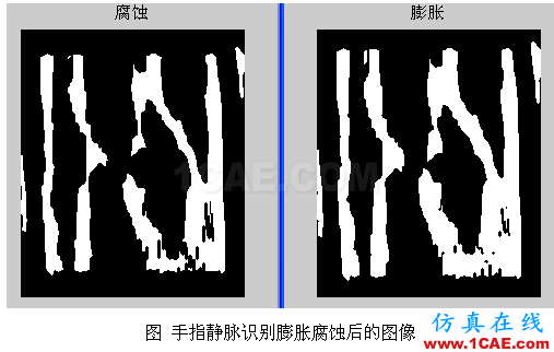 代做畢業(yè)設(shè)計-MATLAB的條碼、車牌、指紋、圖像識別-QQ572426200