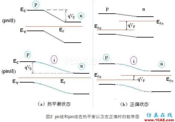 PIN結(jié)與PN結(jié)的特性比較 - 學(xué)習(xí) - 學(xué)習(xí)、學(xué)習(xí)、再學(xué)習(xí)