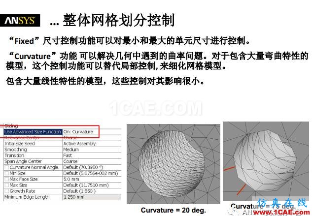 ansys技術(shù)專題之 網(wǎng)格劃分ansys圖片9