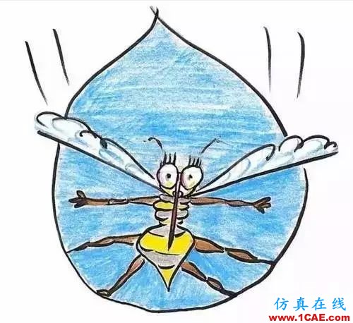 為什么蚊子永遠(yuǎn)不會(huì)被雨砸死？千萬(wàn)別被孩子問住了！fluent流體分析圖片12