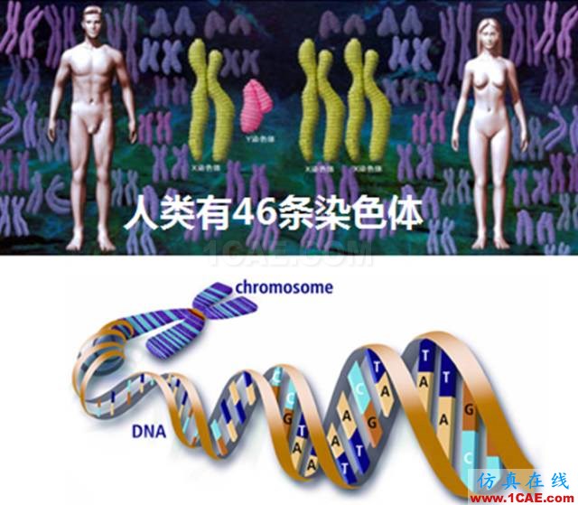 【資訊】強(qiáng)勢圍觀！Science公布的125個科學(xué)前沿問題!圖片3