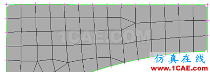 ANSA多樣的網(wǎng)格生成算法ANSA應(yīng)用技術(shù)圖片1